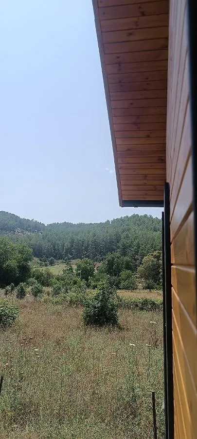 Hawa Home Dalaman